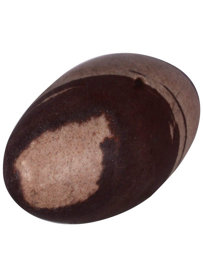 KLEO Esplanade Narmada Stone Narmadeshwar Shiv Ling, Shiva Lingam (5" Inches), Brown - Image 2